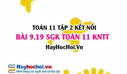 Bài 9.19 SGK Toán 11 Tập 2 Kết nối tri thức
